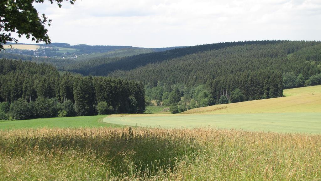 Апартаменты Stollenklause Hormersdorf  Экстерьер фото