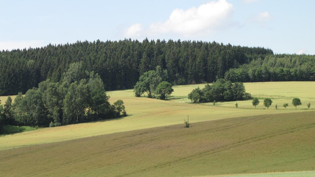 Апартаменты Stollenklause Hormersdorf  Экстерьер фото