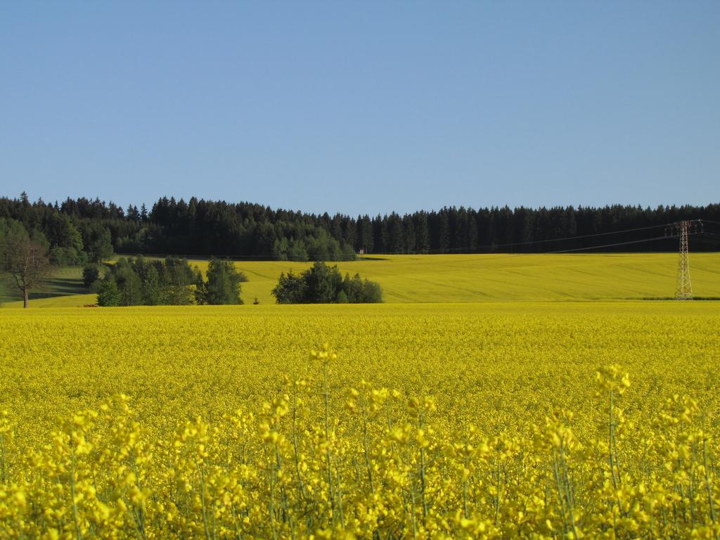 Апартаменты Stollenklause Hormersdorf  Экстерьер фото